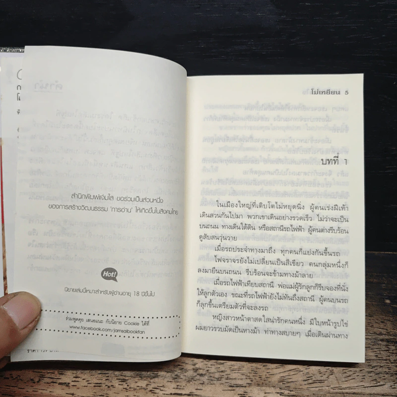 กระจกโยงใจ - โม่เหยียน รูปที่ 7