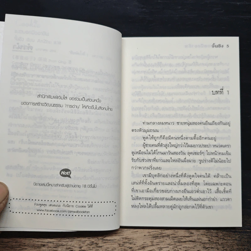 แบดบอยมืออาชีพ (Cookie) - จั้นชิง รูปที่ 7