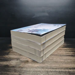 ชะตาแค้นลิขิตรัก 4 เล่มจบ - Yuan Bao Er รูปที่ 3