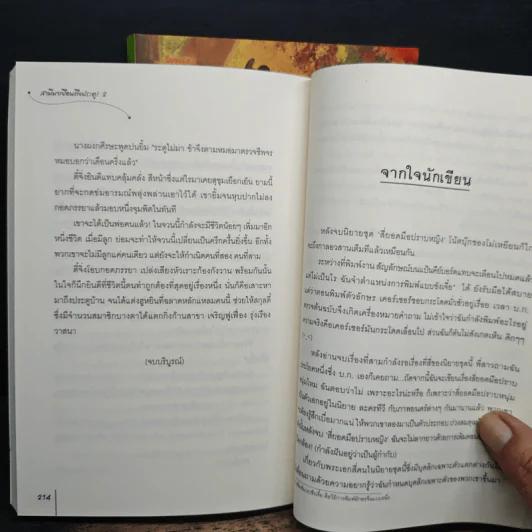 สามีมาเยือนถึงประตู 2 เล่มจบ ชุดสี่ยอดมือปราบหญิง - โม่เหยียน รูปที่ 9