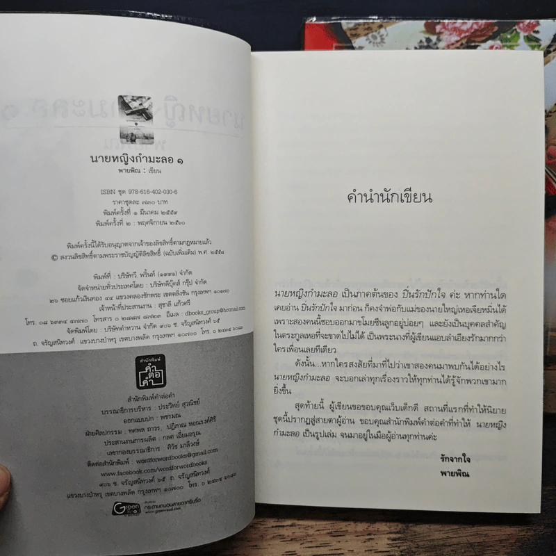 นายหญิงกำมะลอ 2 เล่มจบ - พายพิณ รูปที่ 6