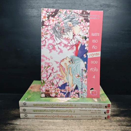 เพราะเธอคือปาฏิหาริย์ของหัวใจ เล่ม 1-4 - Snowman with a cap, เฟ่ยหลาน รูปที่ 1