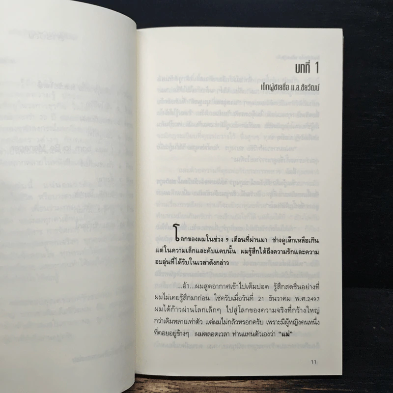 จอมยุทธ์การตลาด - ม.ล.ชัยวัฒน์ ชยางกูร รูปที่ 7