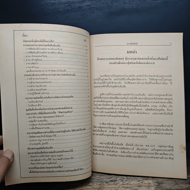 จากสงครามในบอสเนีย...สู่...การทำลายมัสยิดอัลบาบรีในอินเดีย รูปที่ 7