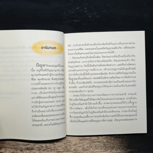 นิพพานได้ในทุกขณะปัจจุบัน เพื่อเห็นโลกตามความเป็นจริง - โพธินันทะ รูปที่ 8