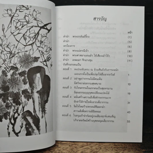 บันทึกปรากฏการณ์ นำโดย พระอรหันต์จี้กง - ทพ. บัญชา ศิริไกร รูปที่ 6
