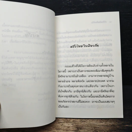 ฝรั่งไทยใจเดียวกัน - ญาณธัมโม ภิกขุ รูปที่ 8