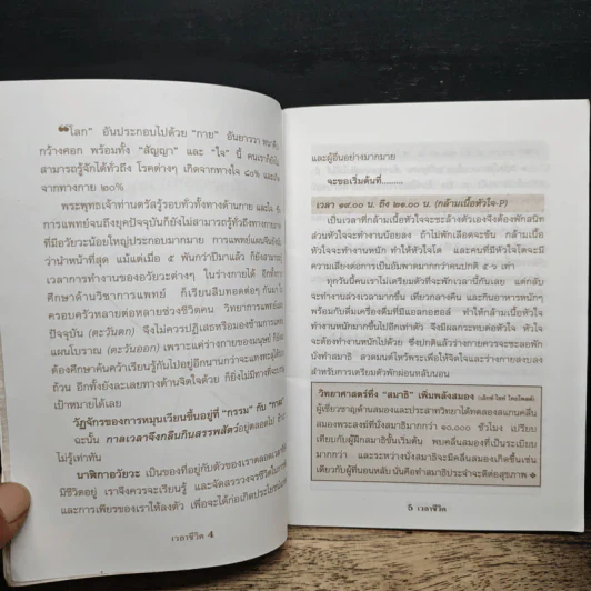 เวลาชีวิต - ล้อเกวียน รูปที่ 7