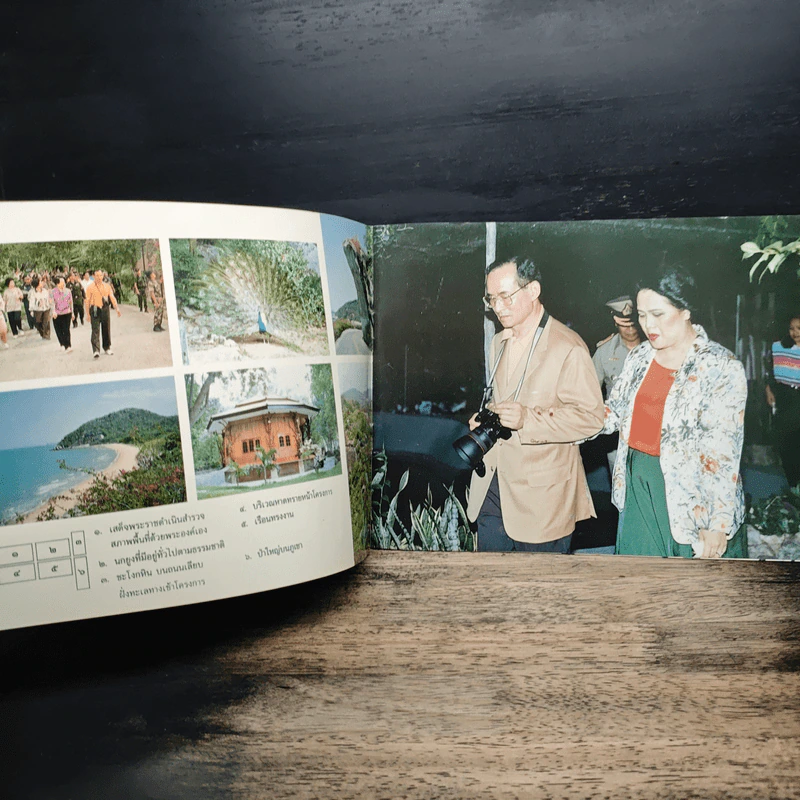 โครงการพระราชดำริสวนป่าหาดทรายใหญ่ รูปที่ 6
