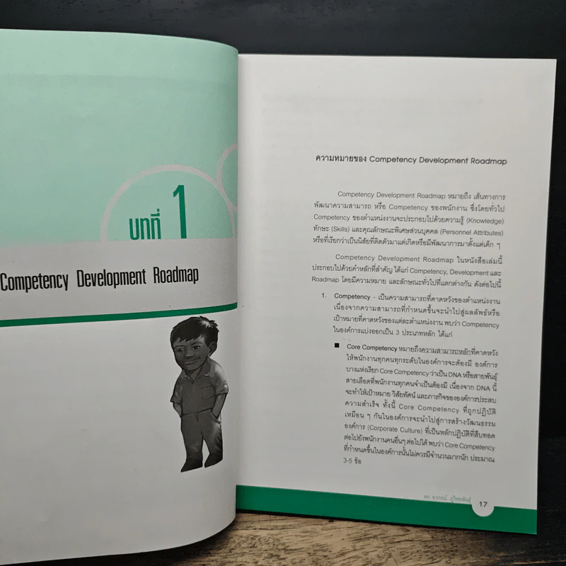 Competency Development Roadmap รูปที่ 11