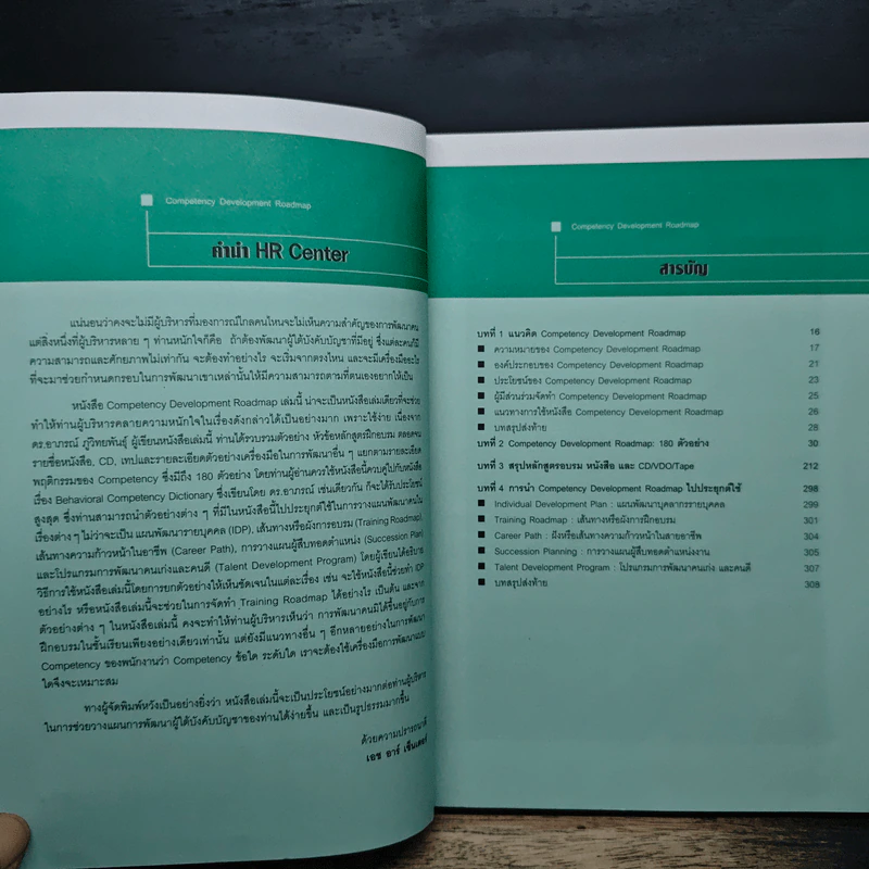 Competency Development Roadmap รูปที่ 7