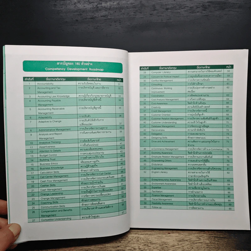 Competency Development Roadmap รูปที่ 8