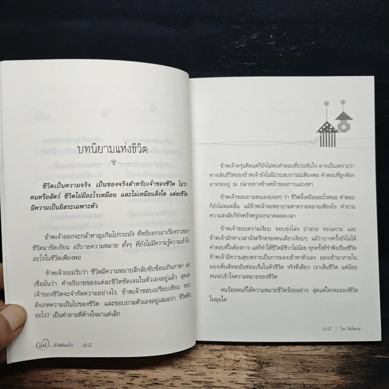 แม่ชีวิตคืออะไร - ปิยโสภณ รูปที่ 8