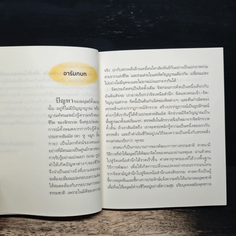 นิพพานได้ในทุกขณะปัจจุบัน เพื่อเห็นโลกตามความเป็นจริง - โพธินันทะ รูปที่ 8