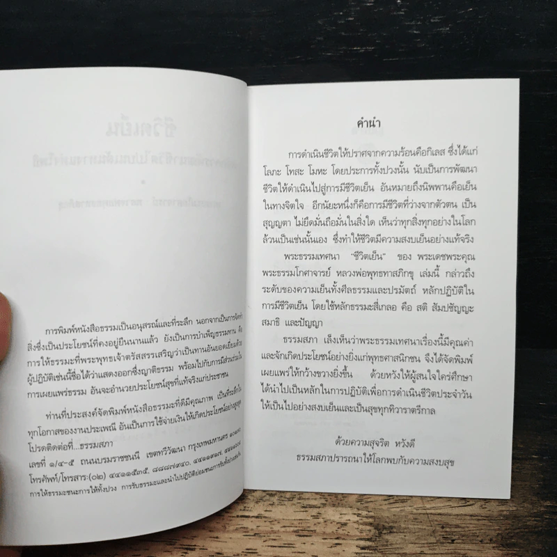 ชีวิตเย็น - พุทธทาสภิกขุ รูปที่ 6