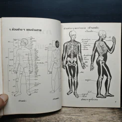 คู่มือนวดจุดสำคัญ - นรมิตร ลิ่วธนมงคล รูปที่ 8
