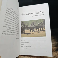 ช้างแสนมหัศจรรย์ของไทย - สุทธิลักษณ์ อำพันวงศ์ รูปที่ 6