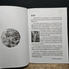นาฬิกาชีวิต ตอน 2 มะรุม ต้นไม้เพื่อชีวิต - วิไลวรรณ อนุสารสุนทร รูปที่ 6