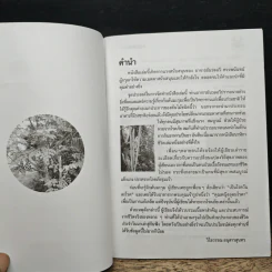 นาฬิกาชีวิต ตอน 2 มะรุม ต้นไม้เพื่อชีวิต - วิไลวรรณ อนุสารสุนทร รูปที่ 6