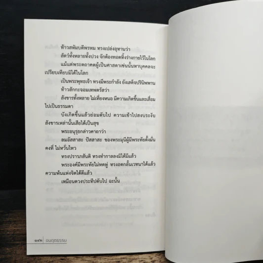 อมฤตธรรม - ศ.ศิลาแลง รูปที่ 8