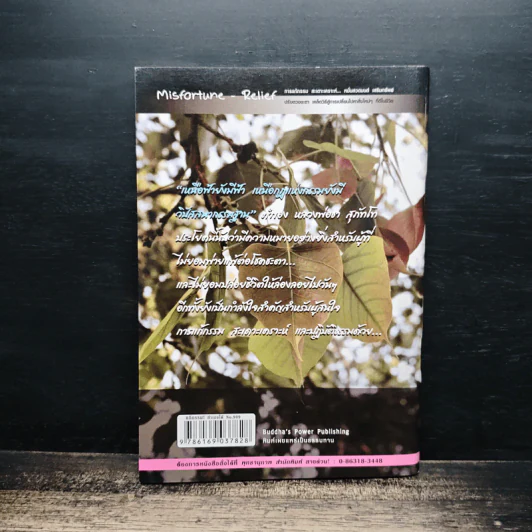 แก้กรรม! ทำเองได้ - จิตศรัทธา พุทธานุภาพ รูปที่ 2