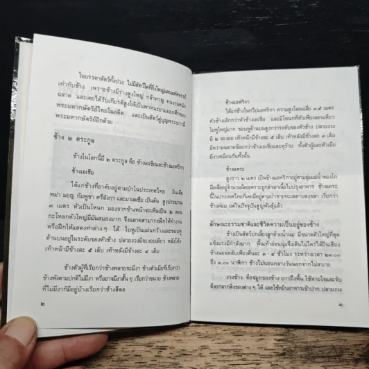 ช้างแสนมหัศจรรย์ของไทย - สุทธิลักษณ์ อำพันวงศ์ รูปที่ 7