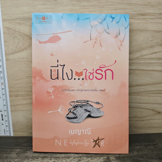 นี่ไง...ใช่รัก - เมญาณี รูปที่ 1