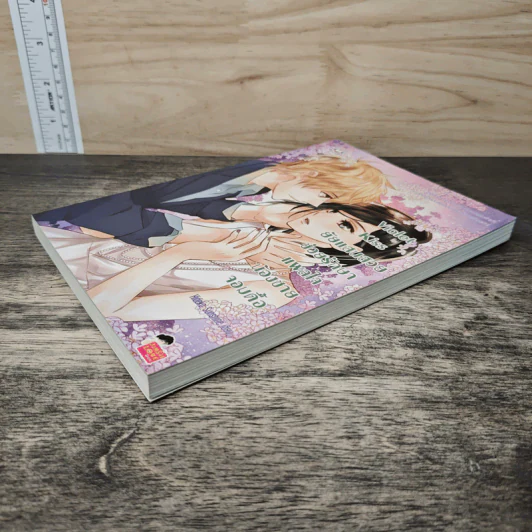 Violet Kiss ยัยแสนสวยช่วยรักษาแผลใจน้องชายจอมดื้อ - Hideko Sunshine รูปที่ 3