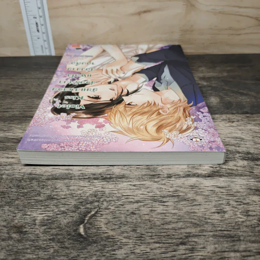 Violet Kiss ยัยแสนสวยช่วยรักษาแผลใจน้องชายจอมดื้อ - Hideko Sunshine รูปที่ 4