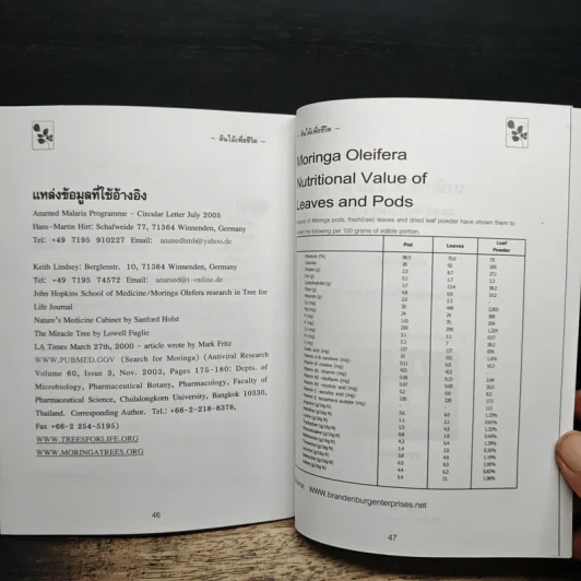 นาฬิกาชีวิต ตอน 2 มะรุม ต้นไม้เพื่อชีวิต - วิไลวรรณ อนุสารสุนทร รูปที่ 7