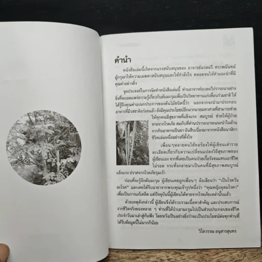 นาฬิกาชีวิต ตอน 2 มะรุม ต้นไม้เพื่อชีวิต - วิไลวรรณ อนุสารสุนทร รูปที่ 6