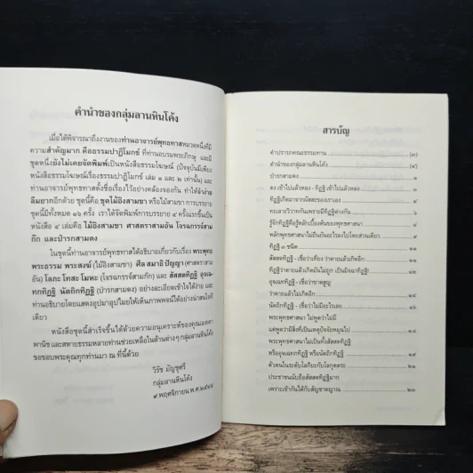 ป่ารกสามดง - พุทธทาสภิกขุ รูปที่ 7