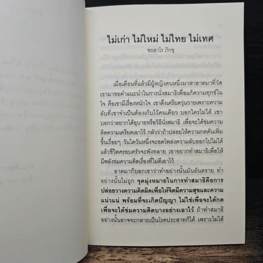 ไม่เก่า ไม่ใหม่ ไม่ไทย ไม่เทศ รูปที่ 7