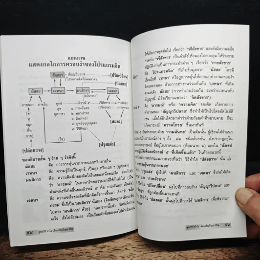 พุทธวิธีทำใจ เมื่อเผชิญปัญหาชีวิต - นายแพทย์ชินโอสถ หัศบำเรอ รูปที่ 8