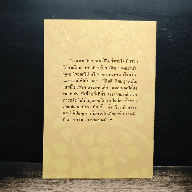 คู่มือดับทุกข์ ฉบับสมบูรณ์ รูปที่ 2