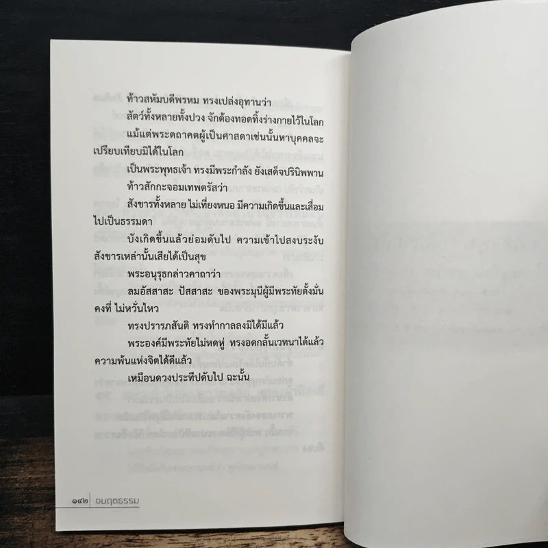 อมฤตธรรม - ศ.ศิลาแลง รูปที่ 8