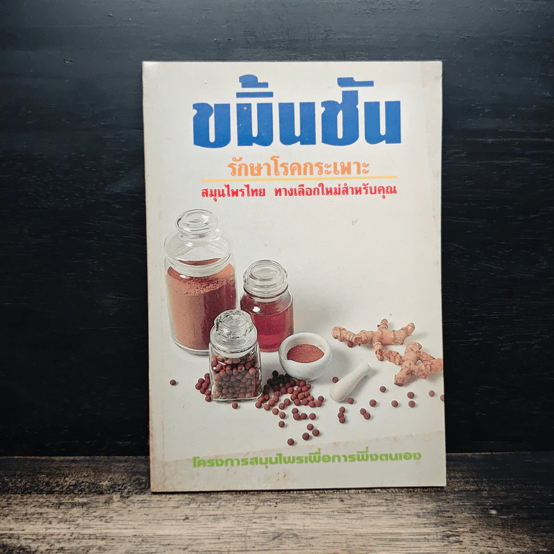 ขมิ้นชัน รักษาโรคกระเพาะ สมุนไพรไทย ทางเลือกใหม่สำหรับคุณ รูปที่ 1