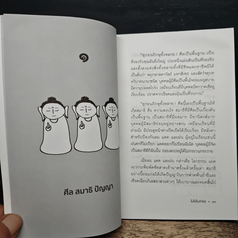 ใบไม้ในกำมือ - อาจารย์วศิน อินทสระ รูปที่ 8