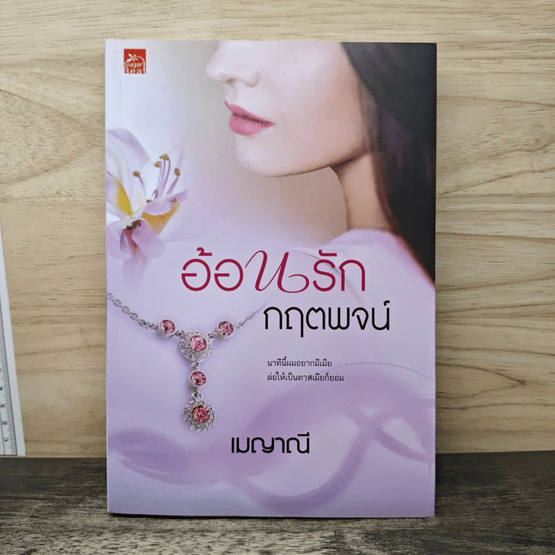 อ้อนรักกฤตพจน์ - เมญาณี รูปที่ 1
