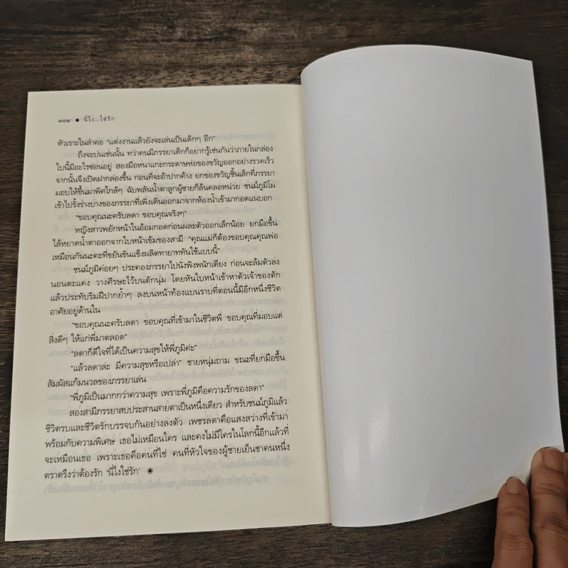 นี่ไง...ใช่รัก - เมญาณี รูปที่ 8