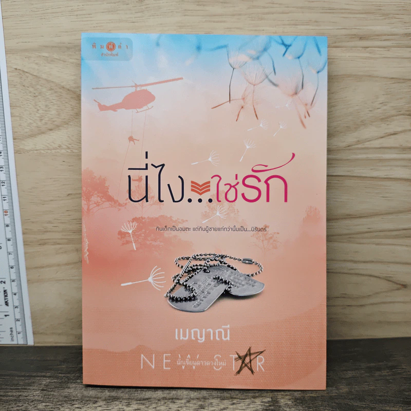 นี่ไง...ใช่รัก - เมญาณี รูปที่ 1