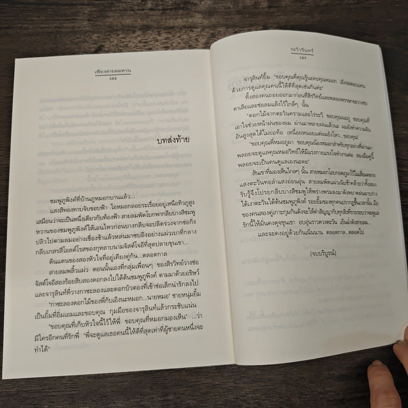 เพียงสายลมหวน - ระวิวรินทร์ รูปที่ 8
