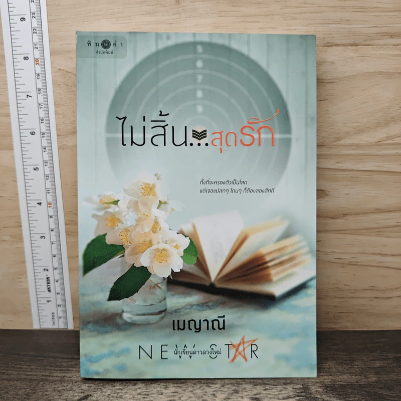 ไม่สิ้น...สุดรัก - เมญาณี รูปที่ 1
