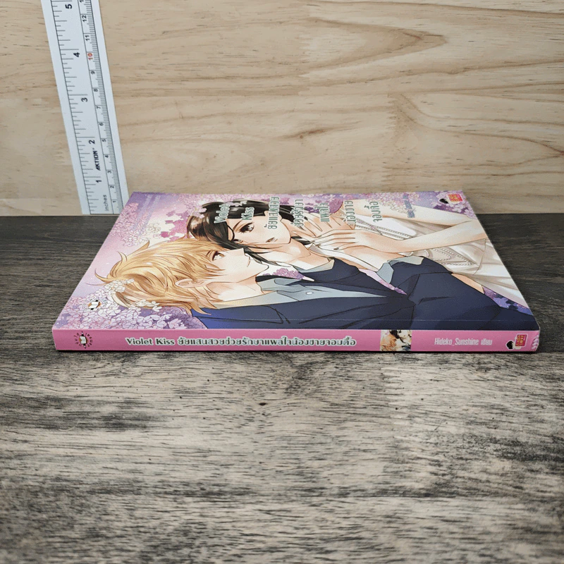 Violet Kiss ยัยแสนสวยช่วยรักษาแผลใจน้องชายจอมดื้อ - Hideko Sunshine รูปที่ 2
