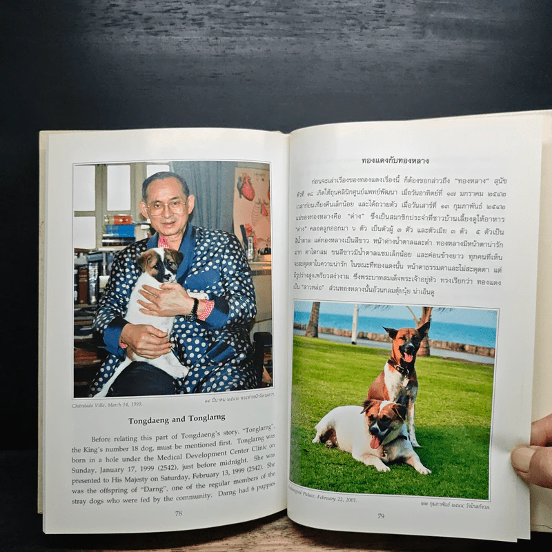 พระราชนิพนธ์ พระบาทสมเด็จพระเจ้าอยู่หัวภูมิพลอดุลยเดช รูปที่ 9