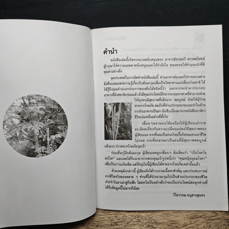 นาฬิกาชีวิต ตอน 2 มะรุม ต้นไม้เพื่อชีวิต - วิไลวรรณ อนุสารสุนทร รูปที่ 6