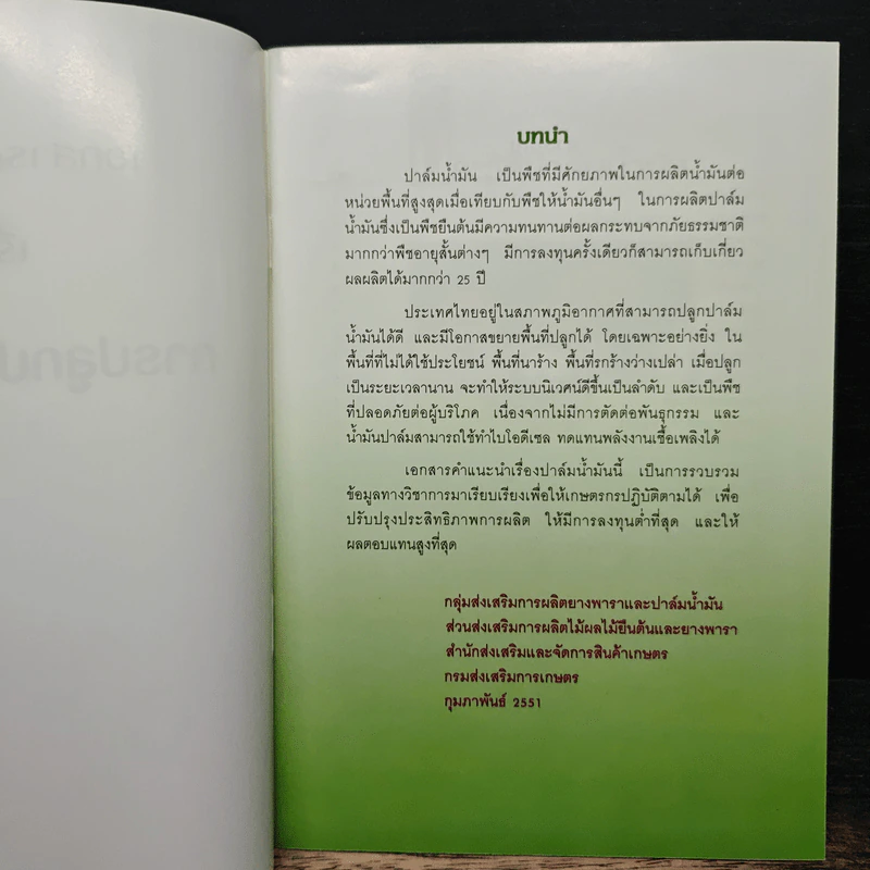 การปลูกปาล์มน้ำมัน - กรมส่งเสริมการเกษตร รูปที่ 5