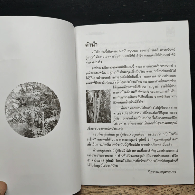 นาฬิกาชีวิต ตอน 2 มะรุม ต้นไม้เพื่อชีวิต - วิไลวรรณ อนุสารสุนทร รูปที่ 6