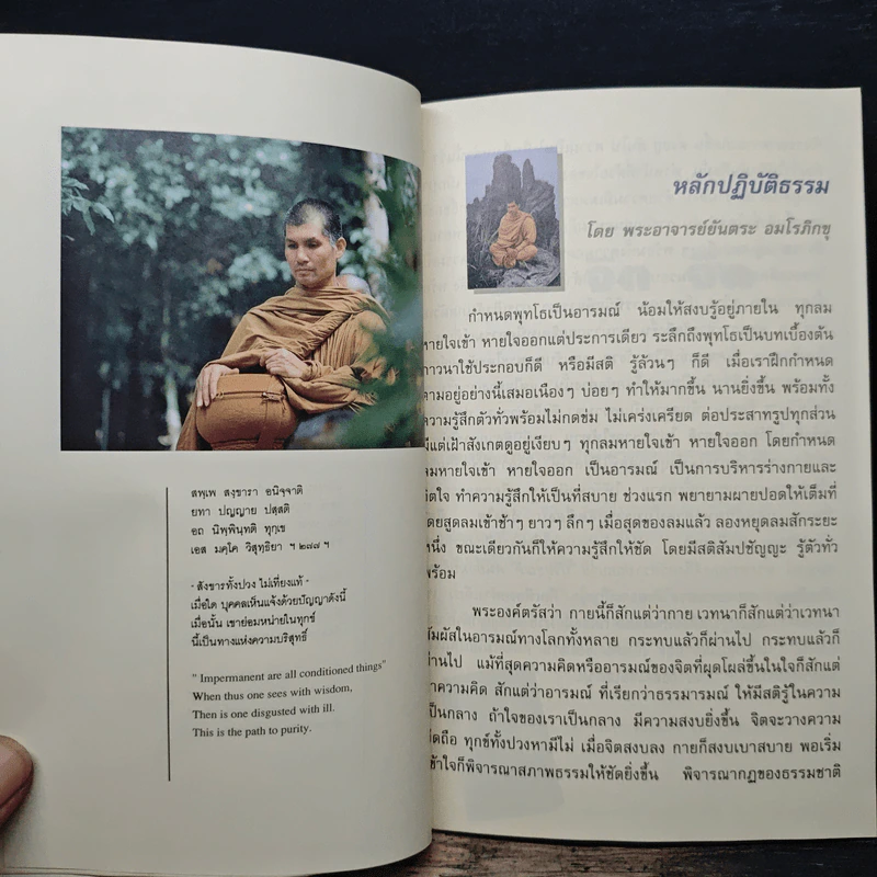 จิต จิต จิต - พระอาจารย์ยันตระ อมโร รูปที่ 8