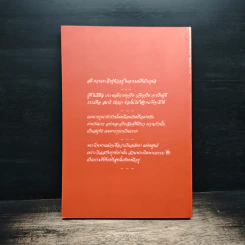 ธัมมานุธัมมปฏิปัตติ รูปที่ 2